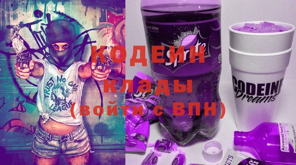 шишки Верея